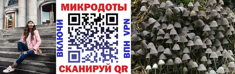 Купить где  Арсеньев  Галлюциногенные грибы мицелий 